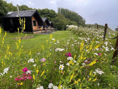 a field of flowers in front of a cabin at St Bede Beach Hut in Alnmouth