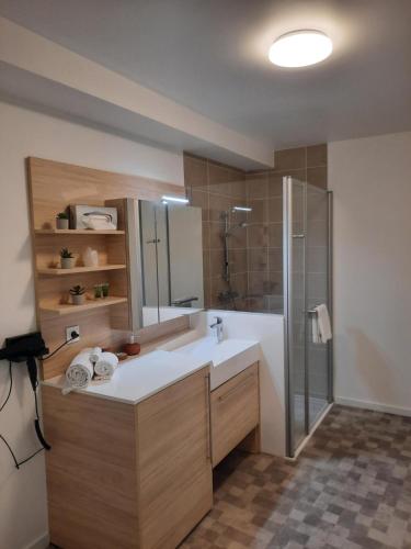 ein Bad mit einem Waschbecken und einer Dusche in der Unterkunft DOMITYS LA GALLIQUE in Provins