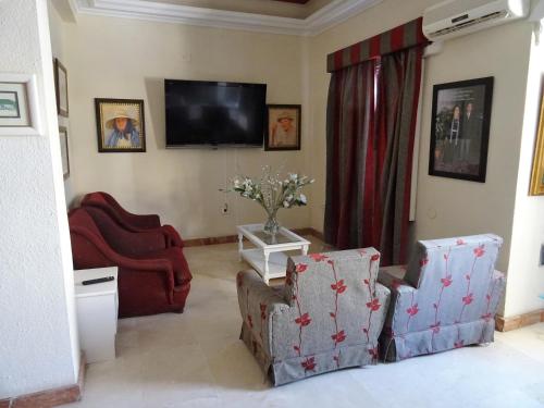 sala de estar con 2 sillas y TV de pantalla plana en Hotel Tanausu, en Santa Cruz de Tenerife