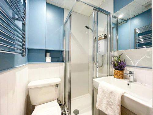 een badkamer met een toilet, een wastafel en een douche bij Snug Studio on The Grassmarket, 5mins from Castle in Edinburgh