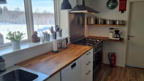 Kuchyň nebo kuchyňský kout v ubytování ELGGÅRDEN