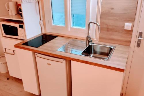 une petite cuisine avec un évier et un micro-ondes dans l'établissement Studio centre ville comédie gare, à Montpellier