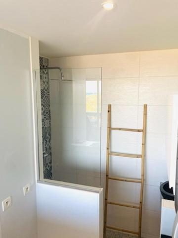 La salle de bains est pourvue d'une douche en verre et d'une échelle. dans l'établissement Village Naturiste - Hélio L vue mer, au Cap d'Agde