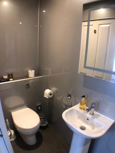 a bathroom with a white toilet and a sink at Tarn Hows in Keswick