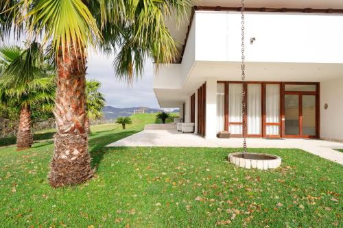 a house with a palm tree and a swing at ARIA - Villa di Campagna in Montecorvino Rovella