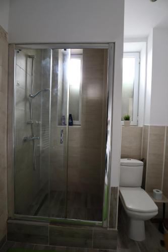 a bathroom with a shower and a toilet at Center Haus in Bucharest