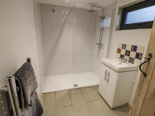 a bathroom with a shower and a toilet and a sink at Willow in Rugby