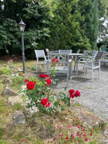 a table and chairs with red roses and a street light at U Vaclava in Hřensko