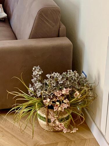 a basket of flowers sitting on the floor next to a chair at Little House 5 Terre in La Spezia