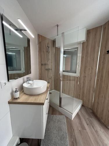 une salle de bain avec un lavabo, une douche et un miroir dans l'établissement Les Bains Studio Vue Mer, à Pléneuf-Val-André