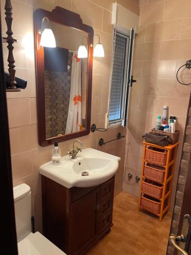 a bathroom with a sink and a mirror and a toilet at Complejo rural los llanos in Mazarrón