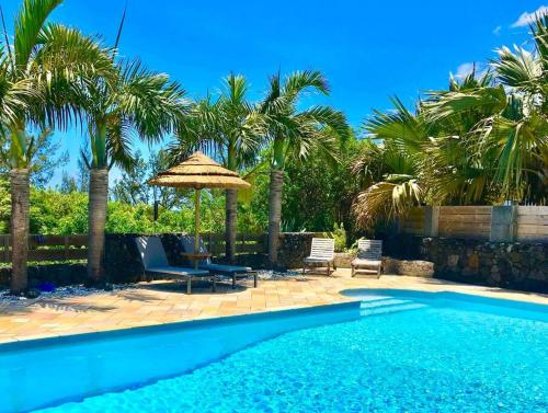 - une piscine entourée d'un parasol et de palmiers dans l'établissement la kaz Australe, pointe de langevin, à Saint-Joseph