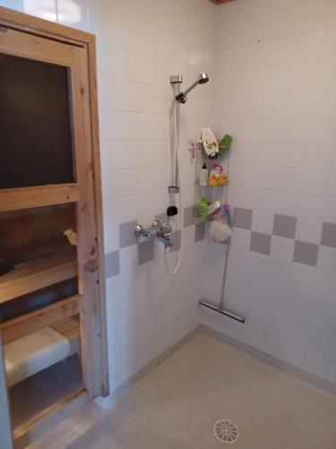 a shower with a television in a bathroom at Peltorinne 14 in Savonlinna