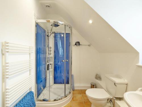 uma casa de banho com um chuveiro e um WC. em Stable Cottage em Woodmancote
