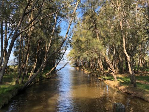a river in the middle of a forest at The COCO in The Entrance