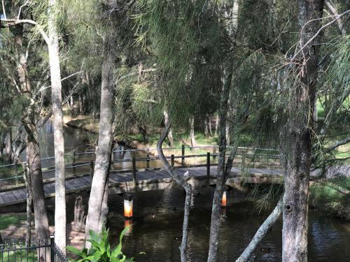 a bridge over a body of water with trees at The COCO in The Entrance