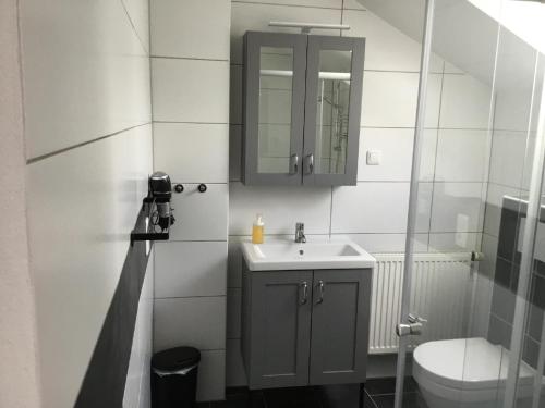 a bathroom with a sink and a toilet and a mirror at Ferienwohnungen Schellein in Blaibach