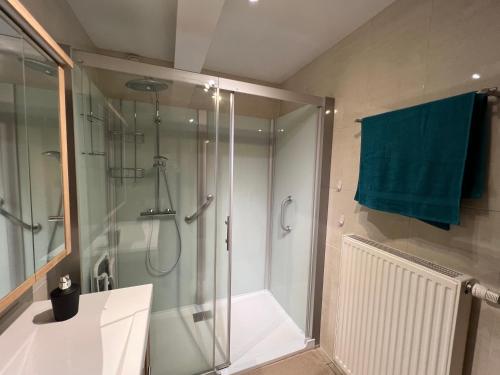 baño con ducha y puerta de cristal en Le Sancerrois, en Dinant