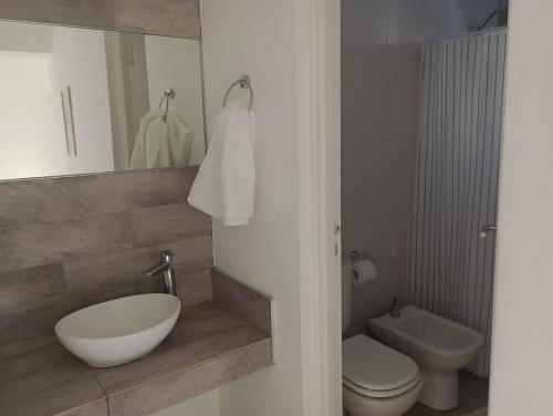 ein Badezimmer mit einem Waschbecken, einem WC und einem Spiegel in der Unterkunft DEPARTAMENTOS LEMOS TRES in Mendoza