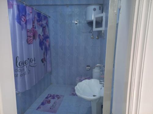 the luxurious apartment in luxor