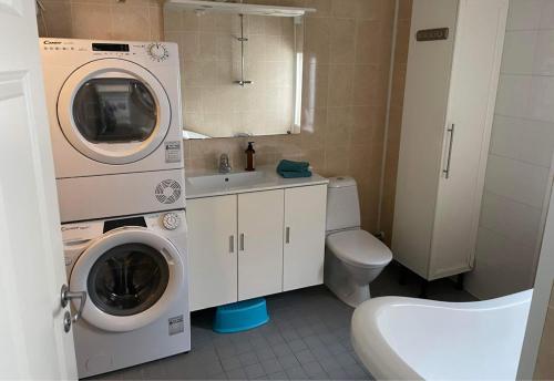 y baño con lavadora y lavamanos. en Villa LA en Landskrona