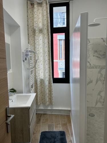 Kúpeľňa v ubytovaní Magnifique Appartement l'Aigrette