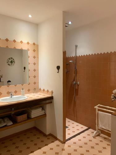 a bathroom with a sink and a shower at Maison Sainte Barbe in Autun