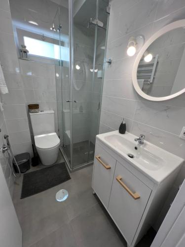 ein Badezimmer mit einem WC, einem Waschbecken und einem Spiegel in der Unterkunft Alfazema Sunset House in Vila Nova de Gaia