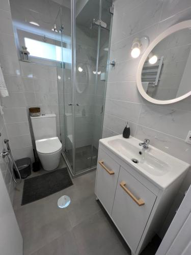 a bathroom with a toilet and a sink and a mirror at Alfazema Sunset House in Vila Nova de Gaia