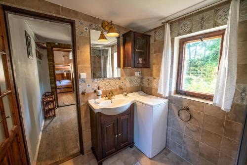 ein Bad mit einem Waschbecken und einem Spiegel in der Unterkunft Edmundova chata in Jetřichovice