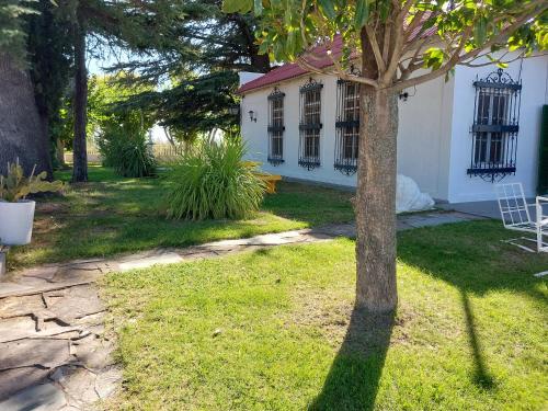 a tree in the yard of a house at Casa de Campo Finca La Superiora in La Consulta