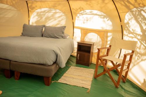 1 dormitorio con 1 cama y 1 silla en una tienda de campaña en Glamping Remanso del Espíritu, en Isla de Maipo