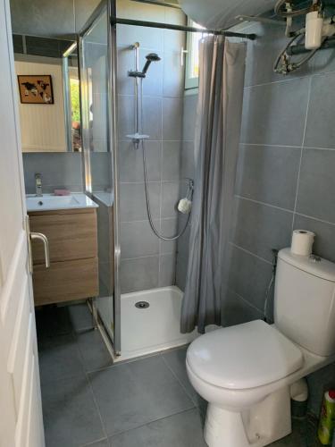 ein Bad mit einer Dusche, einem WC und einem Waschbecken in der Unterkunft CHALET AVEC SPA en fonction du 15 mai au 30 septembre in Lucciana