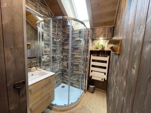 een badkamer met een douche en een wastafel bij Magnifique T3 entre lac et montagne près d'Annecy in Montmin
