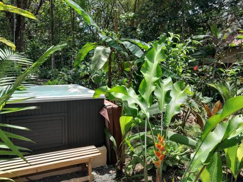 a hot tub in a garden with plants at Miah house in Puerto Jiménez