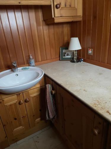 ein Badezimmer mit einem Waschbecken und einer Lampe auf der Theke in der Unterkunft Causeway Lodge in Aird