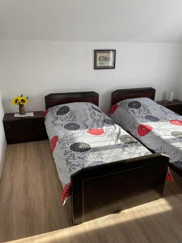 1 dormitorio con 2 camas y 2 mesitas de noche en Mićin dom, en Pirot