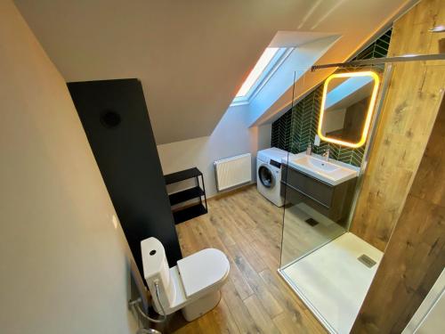 uma casa de banho com um WC, um lavatório e um espelho. em Angelika 9A/3 Mountain Aparts em Świeradów-Zdrój