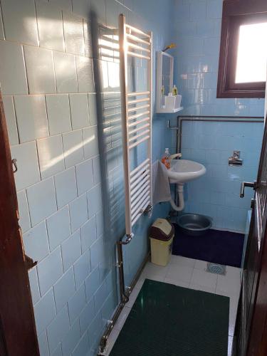 a blue and white bathroom with a sink and a toilet at Mićin dom in Pirot