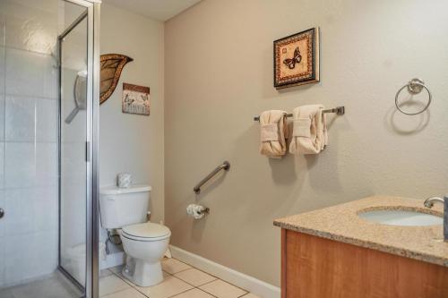 Un baño con inodoro, ducha y lavabo. en MVC - Sweet Penthouse, en Pigeon Forge