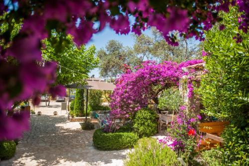 a garden filled with purple flowers and plants at Soleil Village & Villas in Jal