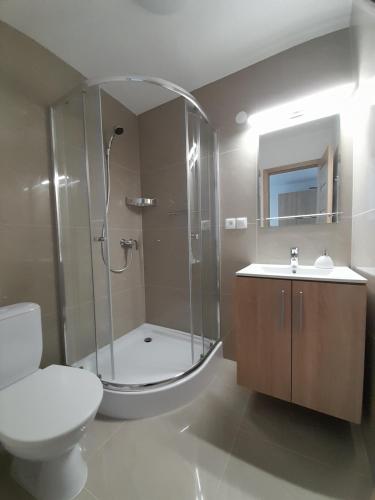 een badkamer met een douche, een toilet en een wastafel bij Penzión Lúčky in Lúčky