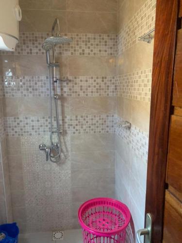 uma casa de banho com um chuveiro e um cesto rosa em Résidence Hadja 02 em Dakar