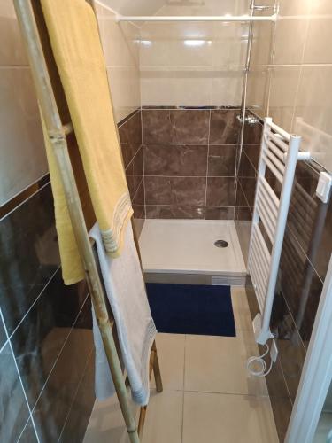 een badkamer met een douche en een gele handdoek bij Joli duplex le clos St Jacques in Étampes