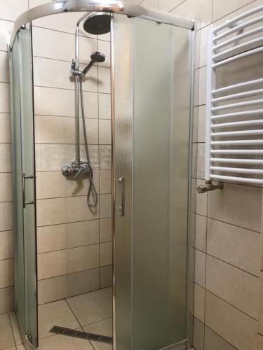 y baño con ducha y puerta de cristal. en SzaboFFcsik, en Uzhhorod