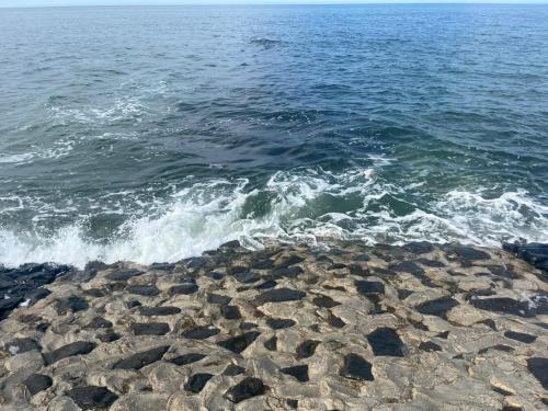 eine Gruppe von Felsen an der Küste des Ozeans in der Unterkunft Kleine Scholle in Neuharlingersiel