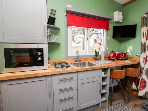 a kitchen with a sink and a microwave at Wild Acre in Llangadog