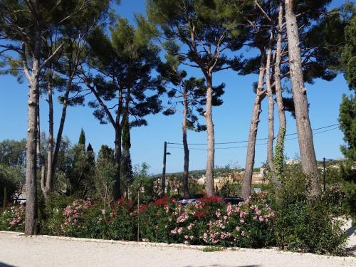 a garden with pink flowers and palm trees at HPC Suites - Cassis Centre - Parking Gratuit & Piscine Chauffée in Cassis