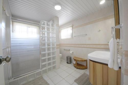 a bathroom with a shower and a sink and a toilet at Palm Beach Sunset Villa in Noord