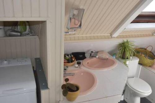 een badkamer met een wastafel en een toilet bij le Strelitzia 1 in Cilaos
